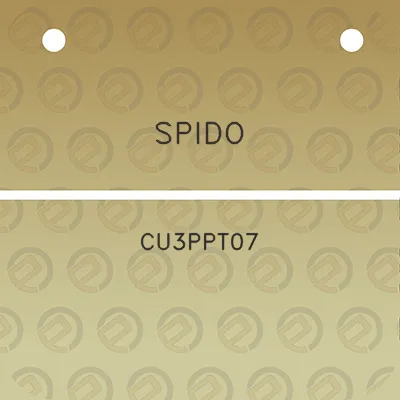 spido-cu3ppt07