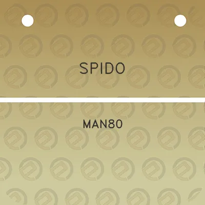 spido-man80