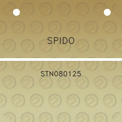 spido-stn080125