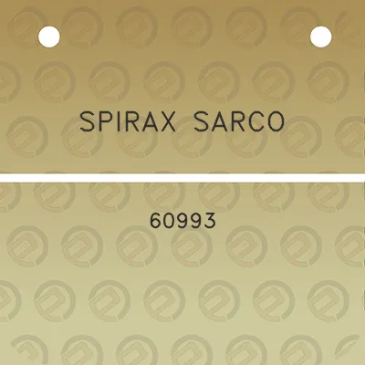 spirax-sarco-60993