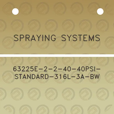 spraying-systems-63225e-2-2-40-40psi-standard-316l-3a-bw