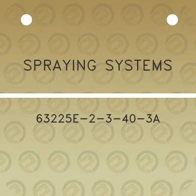 spraying-systems-63225e-2-3-40-3a