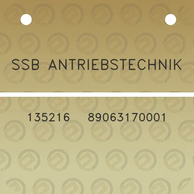 ssb-antriebstechnik-135216-89063170001