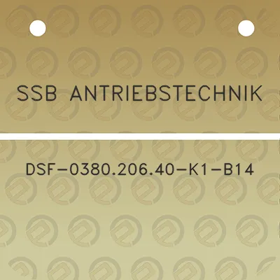 ssb-antriebstechnik-dsf-038020640-k1-b14