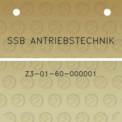 ssb-antriebstechnik-z3-01-60-000001