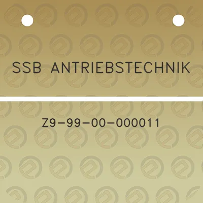 ssb-antriebstechnik-z9-99-00-000011