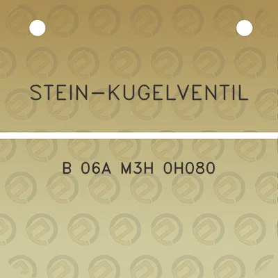 stein-kugelventil-b-06a-m3h-0h080