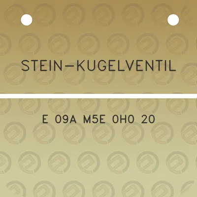 stein-kugelventil-e-09a-m5e-0h0-20