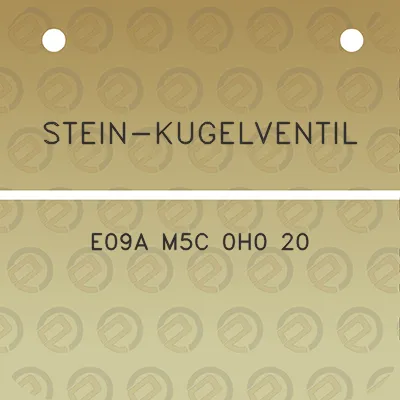 stein-kugelventil-e09a-m5c-0h0-20