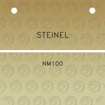 steinel-nm100