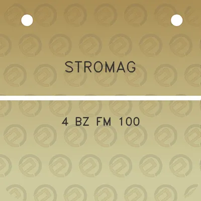 stromag-4-bz-fm-100