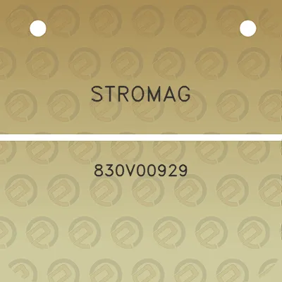 stromag-830v00929