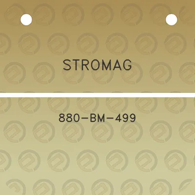 stromag-880-bm-499