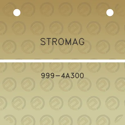 stromag-999-4a300