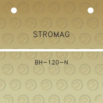 stromag-bh-120-n