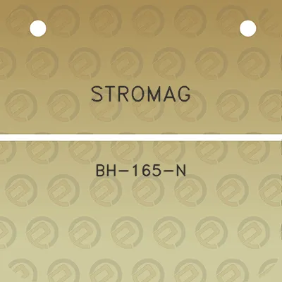 stromag-bh-165-n