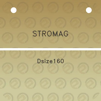 stromag-dsize160