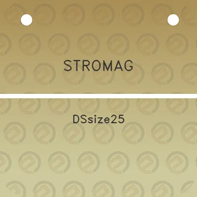 stromag-dssize25