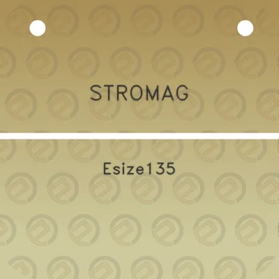 stromag-esize135