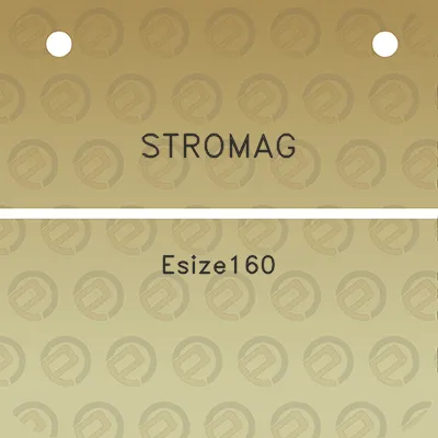 stromag-esize160