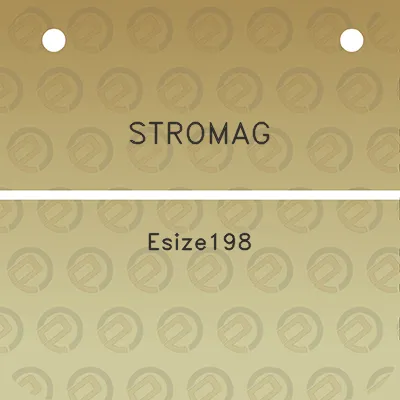 stromag-esize198