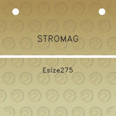 stromag-esize275