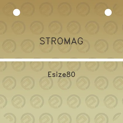 stromag-esize80