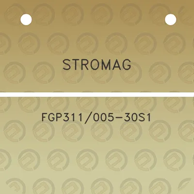 stromag-fgp311005-30s1