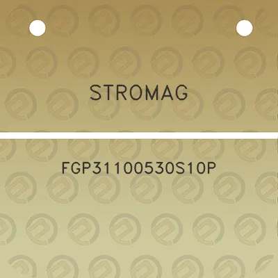 stromag-fgp31100530s10p