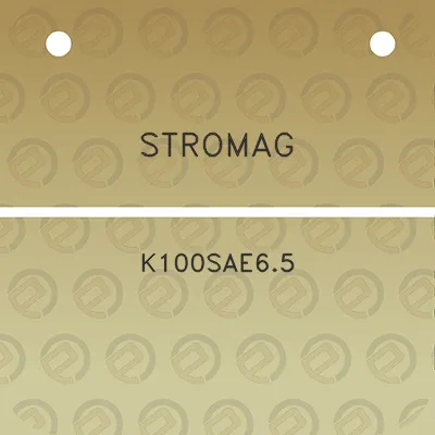 stromag-k100sae65