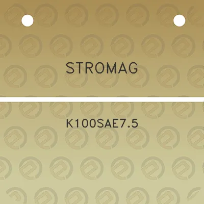 stromag-k100sae75