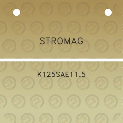 stromag-k125sae115