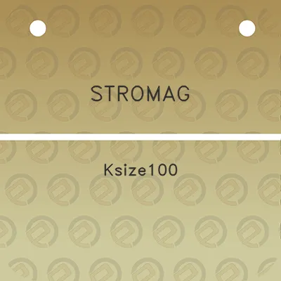 stromag-ksize100