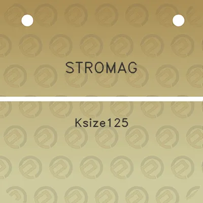 stromag-ksize125