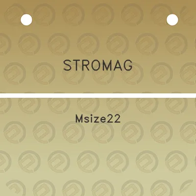 stromag-msize22