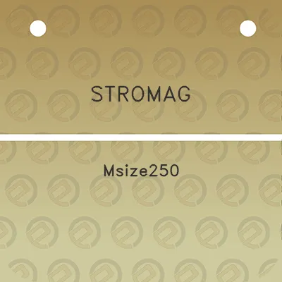 stromag-msize250