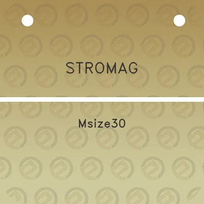 stromag-msize30