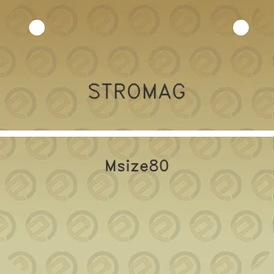 stromag-msize80