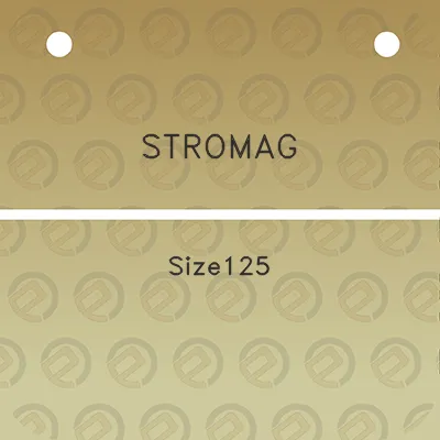 stromag-size125