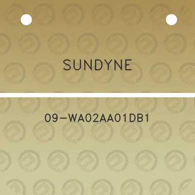 sundyne-09-wa02aa01db1