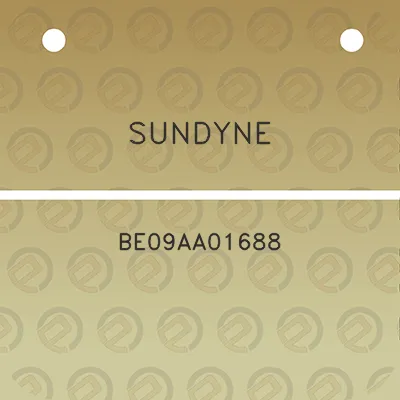 sundyne-be09aa01688