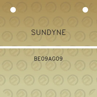 sundyne-be09ag09