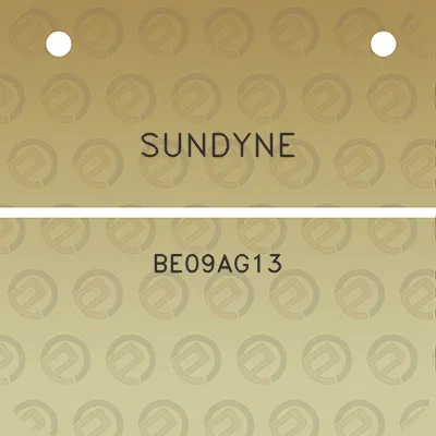 sundyne-be09ag13