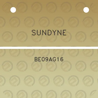 sundyne-be09ag16