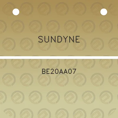 sundyne-be20aa07