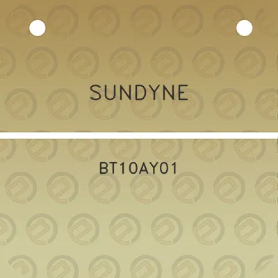 sundyne-bt10ay01