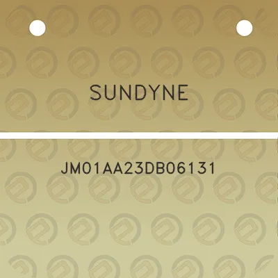 sundyne-jm01aa23db06131