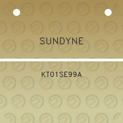 sundyne-kt01se99a