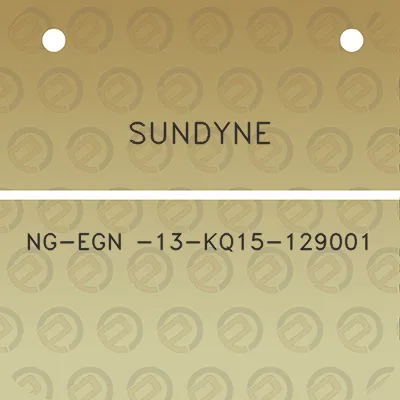 sundyne-ng-egn-13-kq15-129001