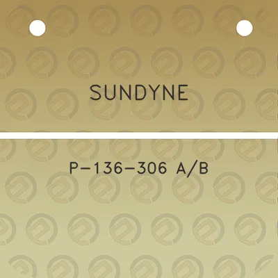 sundyne-p-136-306-ab